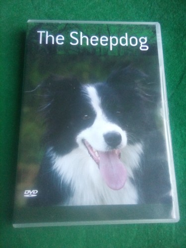 The sheepdog bbc countryfile - the,