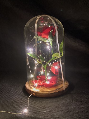Lovely domed desk lamp - domed,