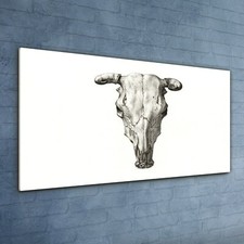 Drawing Animal Cow Skull Jean