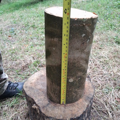 Ash wood round - ,, turning