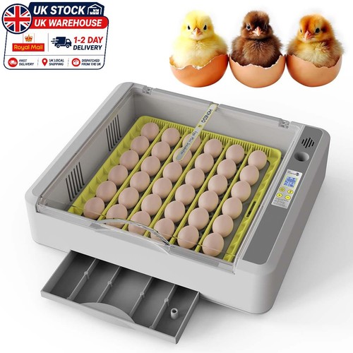 Fully automatic incubator - fully,