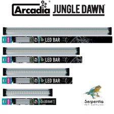 Arcadia Jungle Dawn Bar Full