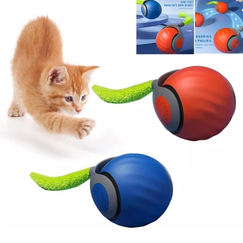 Speedy tail - speedy,
