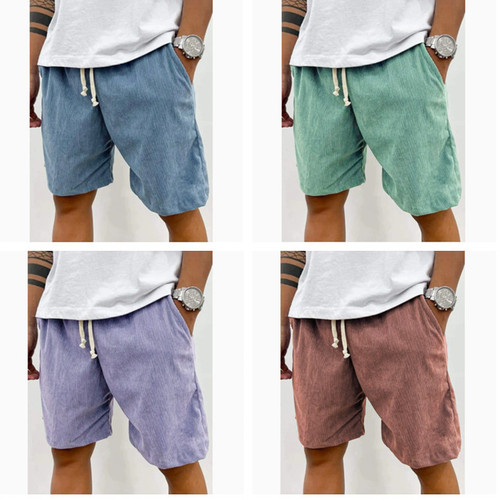 Mens shorts casual regular fit - casual,
