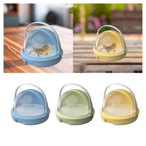 Reptile feeding box display - reptile,