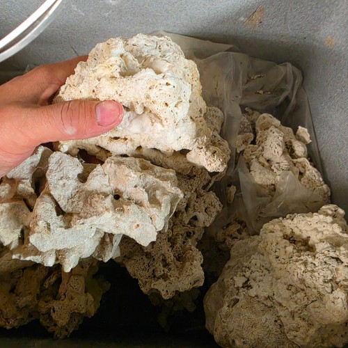 Dry reef rock cleaned - dry, natural