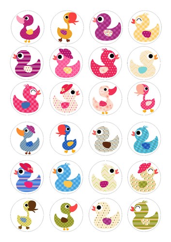 Edible ducks duck - 24,