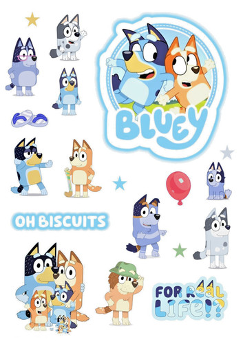 Large bluey create your - create, own