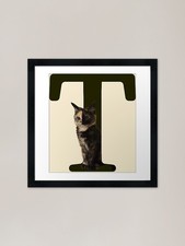Tortitude - Tortoiseshell cat
