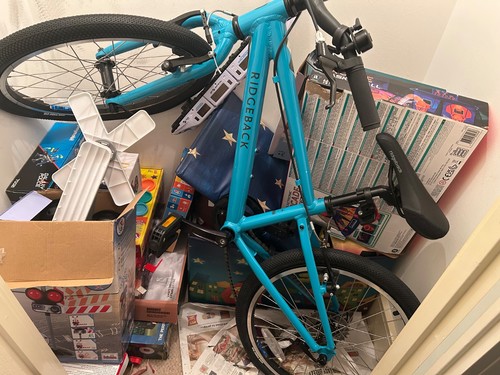 Kids ridgeback bike great - kids,