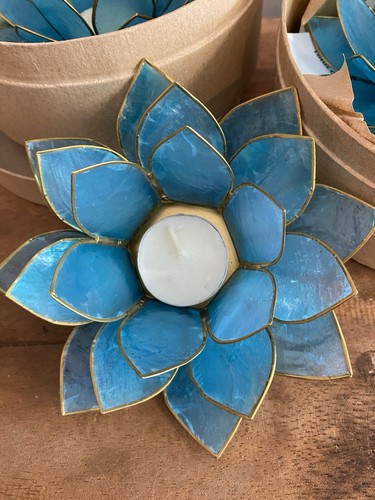 Light blue shell lotus tea - shell,