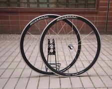 Campagnolo Shamal Black / 9