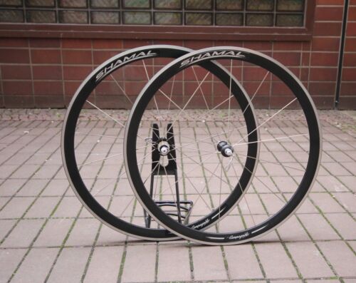 Campagnolo shamal black - campagnolo,