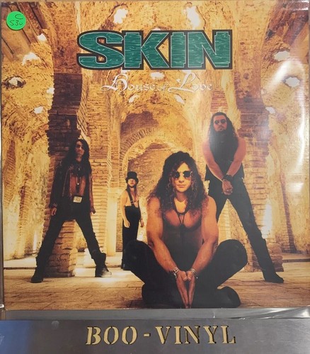 Skin house love vinyl 12 - skin,