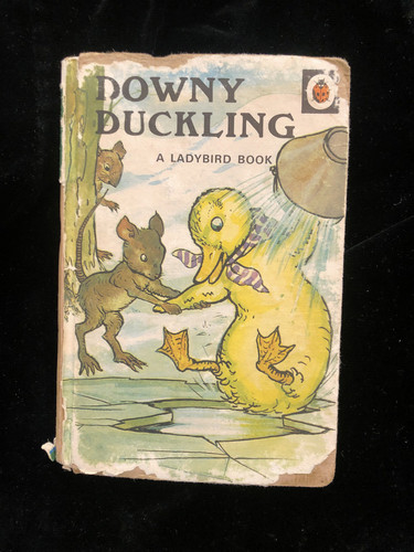 Ladybird childrens classic