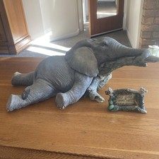 Tuskers Lazy Bones by Barry Price