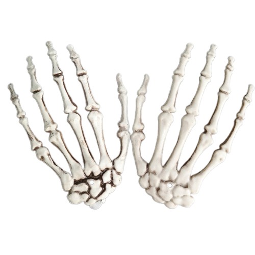 Pack halloween skeleton - halloween,