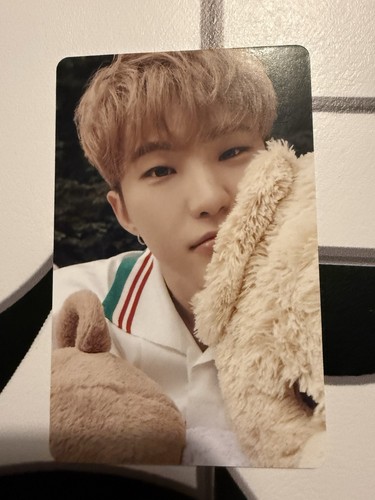 Official seventeen hoshi dicon - hoshi,
