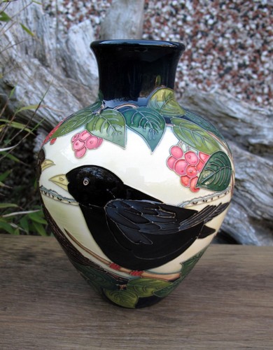 Moorcroft very rare blackbird - very,