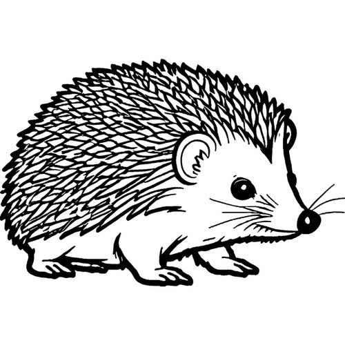 Cute hedgehog unmounted - 'cute, hedgehog'