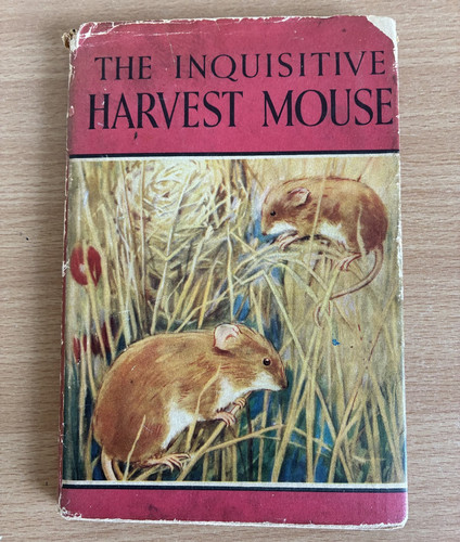 The inquisitive harvest mouse - inquisitive,