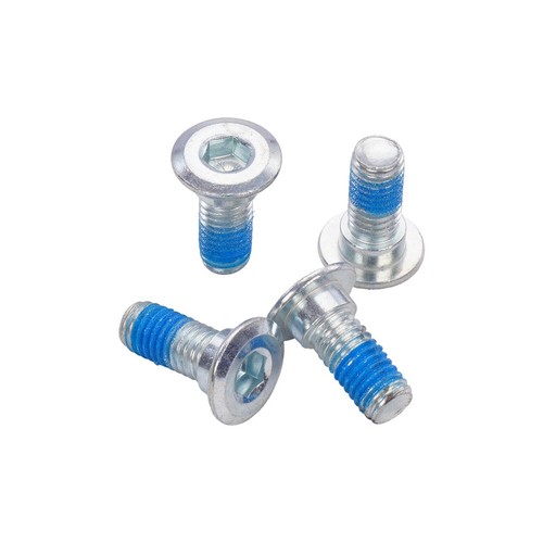 Brake disc screw 5 - disc, 5/16x0
