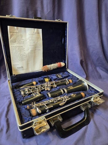 Amati kraslice acl - acl, bb