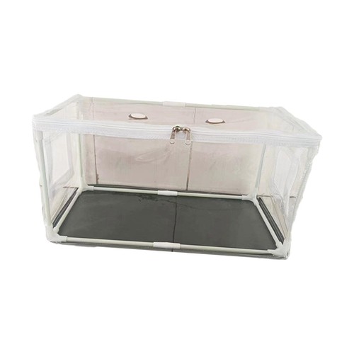 Mushroom growing tent bag - growing, box