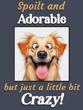 Golden Retriever funny gift