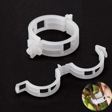 50x Tomato clips trellis Fruit