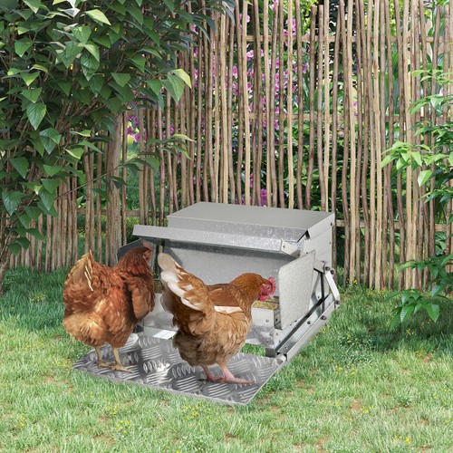 Automatic chicken feeder - automatic,