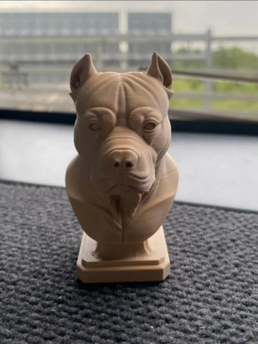 American pitbull terrier - american, bust