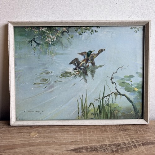 Vintage vernon ward print - vernon,