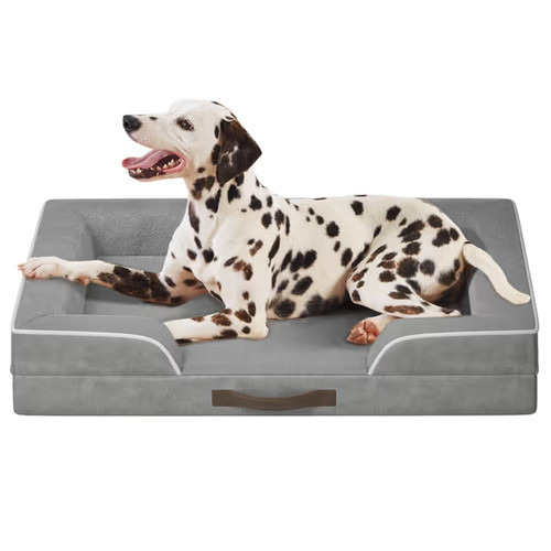 Codi large orthopedic - large,
