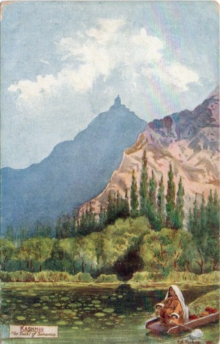 460 tuck oilette postcard - oilette,