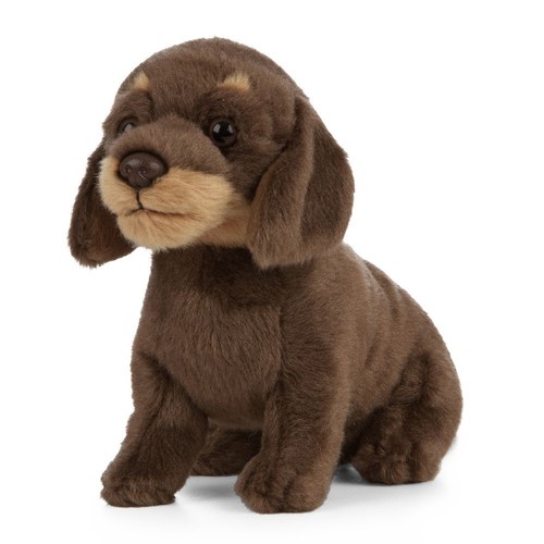 Dachshund puppy dog plush soft - dachshund,