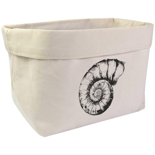 Ammonite fossil organiser - 'ammonite, /
