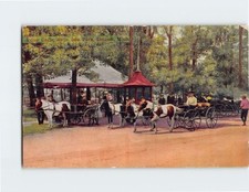 Postcard Pony Carts Belle Isle