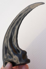 Mega Velociraptor Claw Fossil