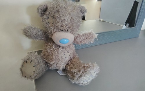 Grey teddy bear