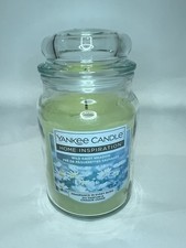 Yankee Candle 538g Candle New Wild Daisy Meadow Large Jar