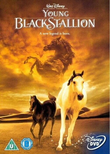 Young black stallion dvd - black,