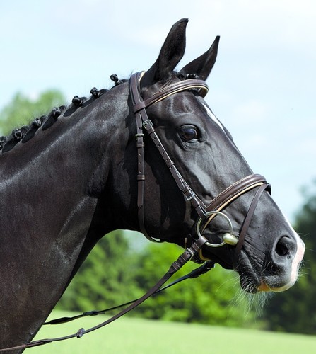 Kieffer comfort snaffle - kieffer, iv