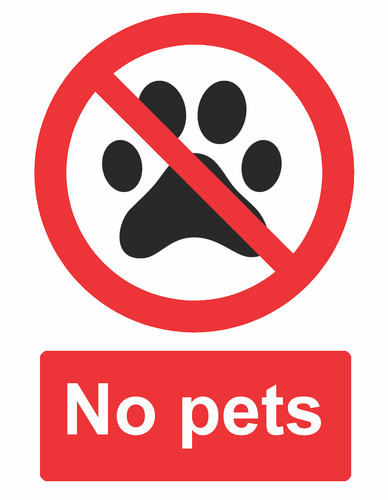 Pets business pub - no,