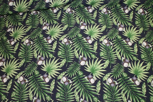 Tropical leaves coconut - leaves, &