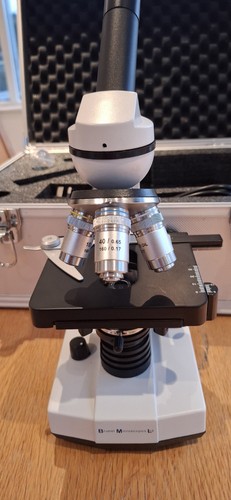 Brand new never - been, sp22