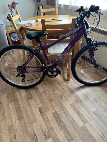 Apollo jewel purple - jewel, 18’17