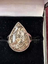 Sterling Silver Ammonite