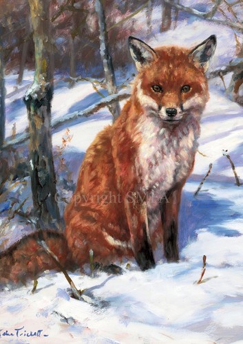 Chilly charlie fox christmas - 'chilly, charlie'