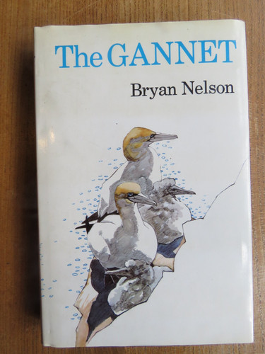 The gannet bryan - gannet,